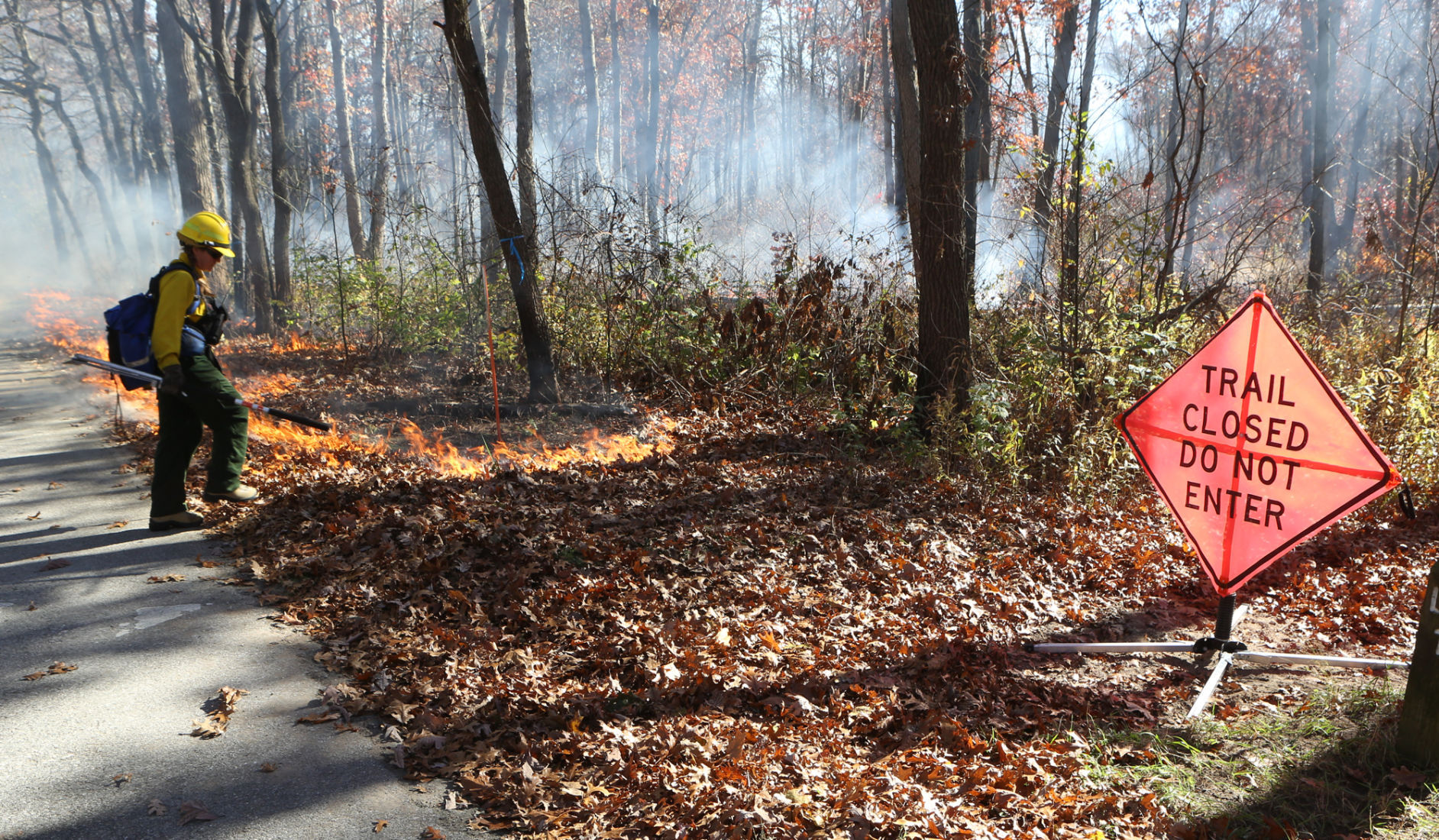 Prescribed burns improve safety, restore ecosystem